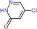 5-chloropyridazin-3(2H)-one