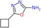 5-cyclobutyl-1,3,4-oxadiazol-2-amine