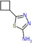 5-cyclobutyl-1,3,4-thiadiazol-2-amine