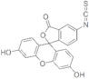 Fluorescein 5-isothiocyanate