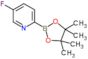 5-fluoro-2-(4,4,5,5-tetramethyl-1,3,2-dioxaborolan-2-yl)pyridine