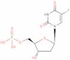 Fluorodesoxiuridilato