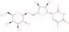 5-Fluorouridine-5'-O-b-D-galactopyranoside