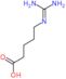 5-[(diaminomethylidene)amino]pentanoic acid