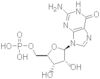 guanosine 5'-monophosphoric acid