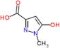 5-hydroxy-1-methyl-1H-pyrazole-3-carboxylic acid