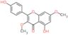 5-hydroxy-2-(4-hydroxyphenyl)-3,7-dimethoxy-4H-chromen-4-one