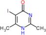 5-iodo-2,6-dimethylpyrimidin-4(1H)-one