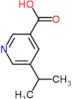 5-(1-methylethyl)pyridine-3-carboxylic acid