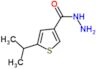 5-(1-methylethyl)thiophene-3-carbohydrazide