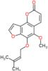 5-methoxy-6-[(3-methylbut-2-en-1-yl)oxy]-2H-furo[2,3-h]chromen-2-one