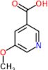 5-Methoxynicotinic acid