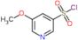 5-Methoxypyridine-3-sulfonyl chloride