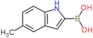 (5-methyl-1H-indol-2-yl)boronic acid