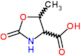 5-methyl-2-oxo-1,3-oxazolidine-4-carboxylic acid