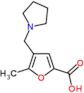 5-methyl-4-(pyrrolidin-1-ylmethyl)furan-2-carboxylic acid