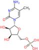 5-Methylcytidylic acid