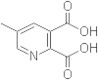 5-Methyl-2,3-pyridinedicarboxylic acid