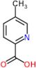 5-Methylpyridine-2-carboxylic acid