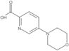 5-(4-Morpholinyl)-2-pyridinecarboxylic acid