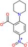 5-nitro-2-piperidin-1-ylbenzoic acid