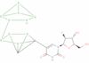 5-o-carboranyl-1-(2-deoxy-2-fluoro-arabinofuranosyl)uracil