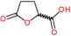 5-oxotetrahydrofuran-2-carboxylic acid