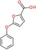 5-phenoxyfuran-2-carboxylic acid