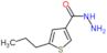 5-propylthiophene-3-carbohydrazide