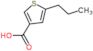 5-propylthiophene-3-carboxylic acid