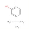 Phenol, 5-(1,1-dimethylethyl)-2-iodo-
