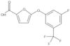 5-[3-Fluoro-5-(trifluoromethyl)phenoxy]-2-furancarboxylic acid