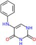 5-(phenylamino)pyrimidine-2,4(1H,3H)-dione