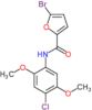 5-bromo-N-(4-chloro-2,5-dimethoxyphenyl)furan-2-carboxamide