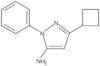 3-Cyclobutyl-1-phenyl-1H-pyrazol-5-amine