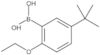 B-[5-(1,1-Dimethylethyl)-2-ethoxyphenyl]boronic acid