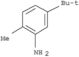 Benzenamine,5-(1,1-dimethylethyl)-2-methyl-