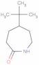 4-tert-Butylcaprolactam