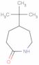 5-(tert-butyl)hexahydro-2H-azepin-2-one