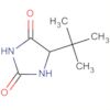 2,4-Imidazolidinedione, 5-(1,1-dimethylethyl)-