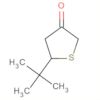 3(2H)-Thiophenone, 5-(1,1-dimethylethyl)dihydro-