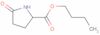 butyl 5-oxo-DL-prolinate