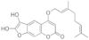 6′,7′-Dihydroxybergamottin