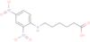 Dinitrophenyl-ε-aminocaproic acid