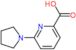 6-(pyrrolidin-1-yl)pyridine-2-carboxylic acid