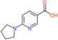 6-(pyrrolidin-1-yl)pyridine-3-carboxylic acid