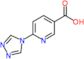 6-(1,2,4-triazol-4-yl)pyridine-3-carboxylic acid