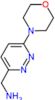 3-Pyridazinemethanamine, 6-(4-morpholinyl)-