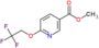 methyl 6-(2,2,2-trifluoroethoxy)pyridine-3-carboxylate