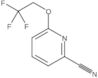 6-(2,2,2-Trifluoroethoxy)-2-pyridinecarbonitrile